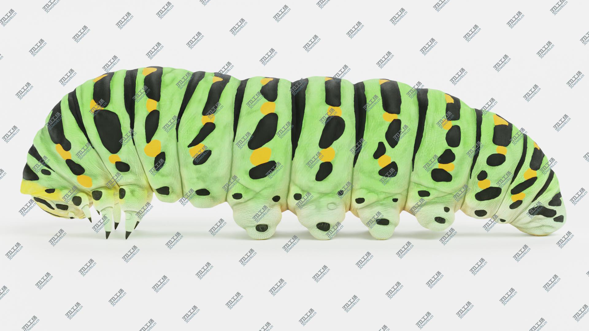 images/goods_img/202104091/Swallowtail Caterpillar Rigged 3D model/2.jpg